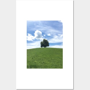 Solitary Tree atop a hill in Switzerland Posters and Art